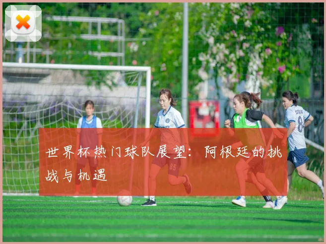 世界杯热门球队展望：阿根廷的挑战与机遇